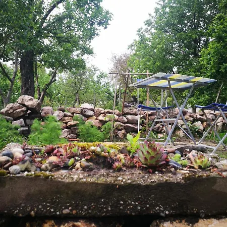 Patak Apartman, Diszel Tapolca