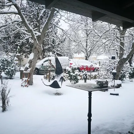 Patak Apartman, Diszel *