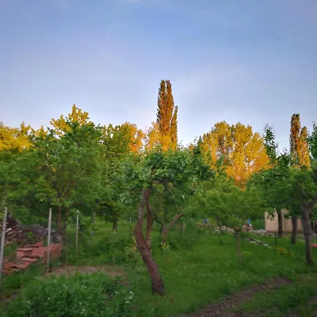 Patak Apartman, Diszel