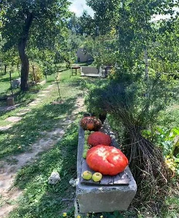 Patak Apartman, Diszel Lägenhet *