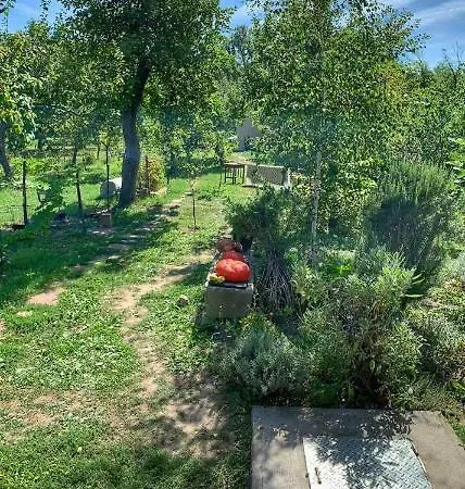 Patak Apartman, Diszel