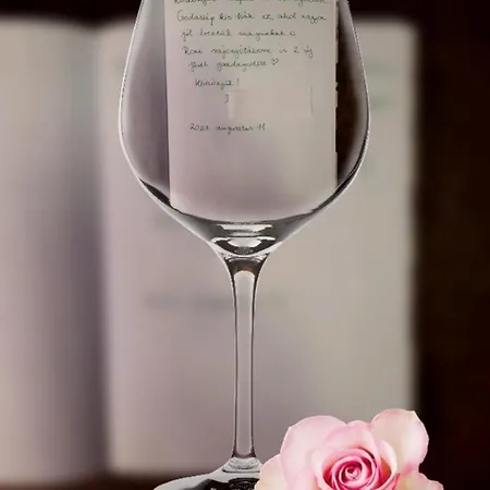 Patak Apartman, Diszel *