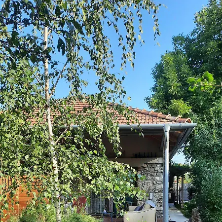 Patak Apartman, Diszel Lägenhet