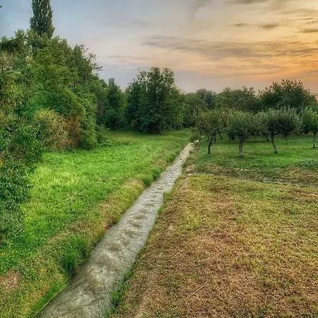 Patak Apartman, Diszel *