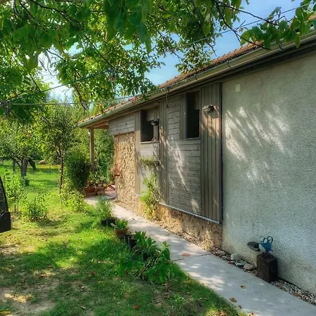 Patak Apartman, Diszel