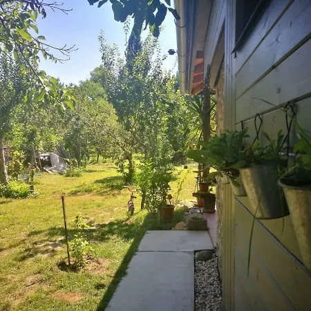 Patak Apartman, Diszel Tapolca