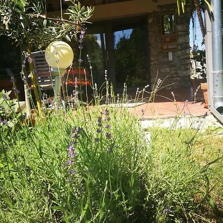 Patak Apartman, Diszel Lägenhet *