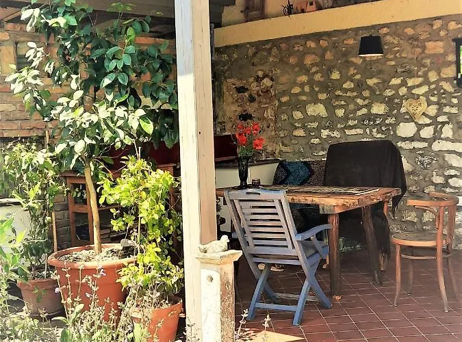 Patak Apartman, Diszel