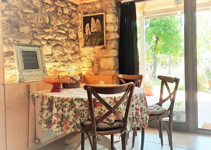 Patak Apartman, Diszel タポルツァ