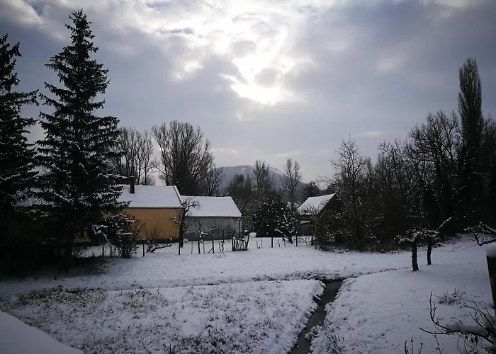 アパート Patak Apartman, Diszel