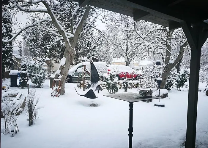 Patak Apartman, Diszel *