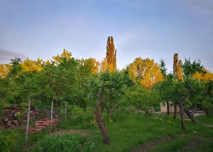 Patak Apartman, Diszel