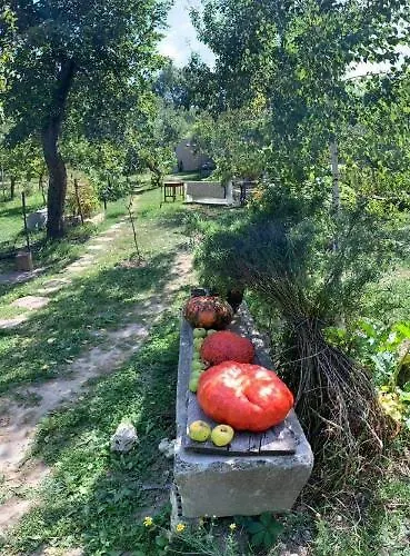 Patak Apartman, Diszel アパート *