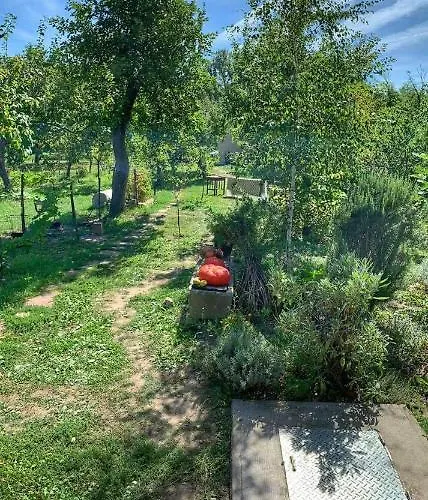 Patak Apartman, Diszel