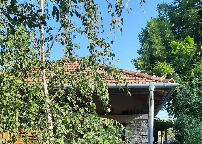 Patak Apartman, Diszel 아파트