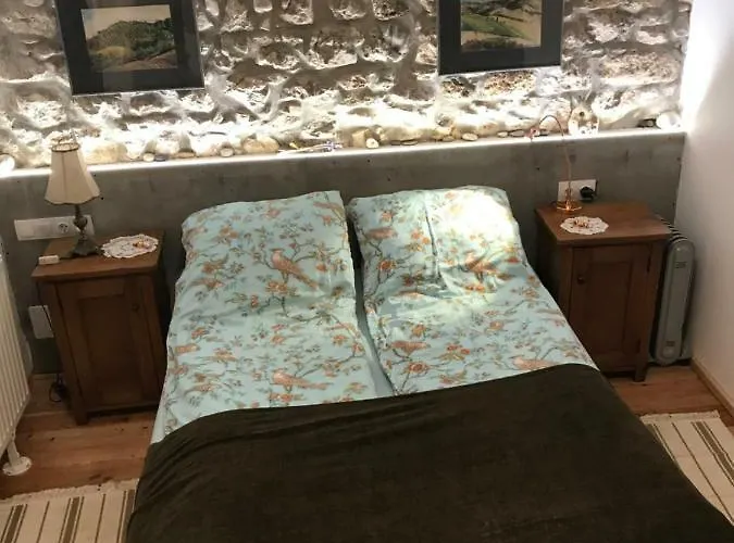 Patak Apartman, Diszel タポルツァ