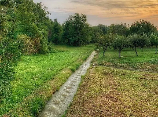 Patak Apartman, Diszel *