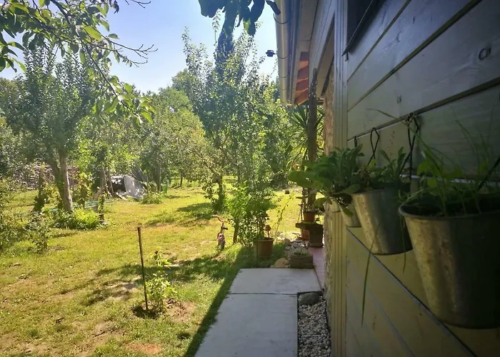 Patak Apartman, Diszel 터폴차