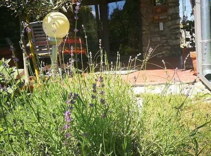 Patak Apartman, Diszel Apartmán *